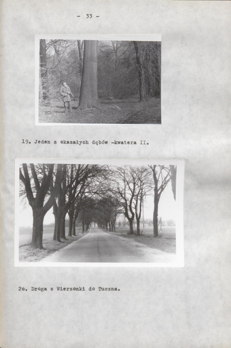 EP - Ewidencja parkowa, skan nr 41