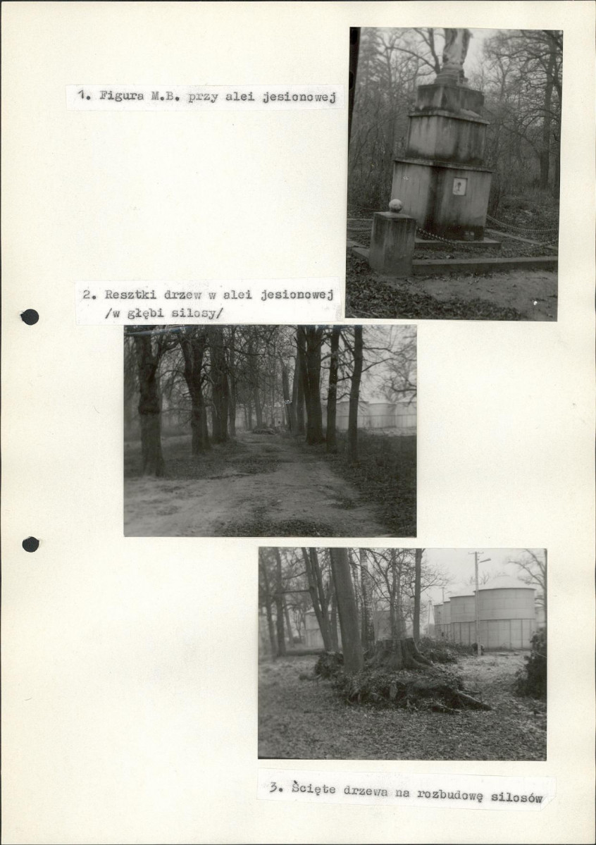 Ewidencja parkowa, skan nr 24