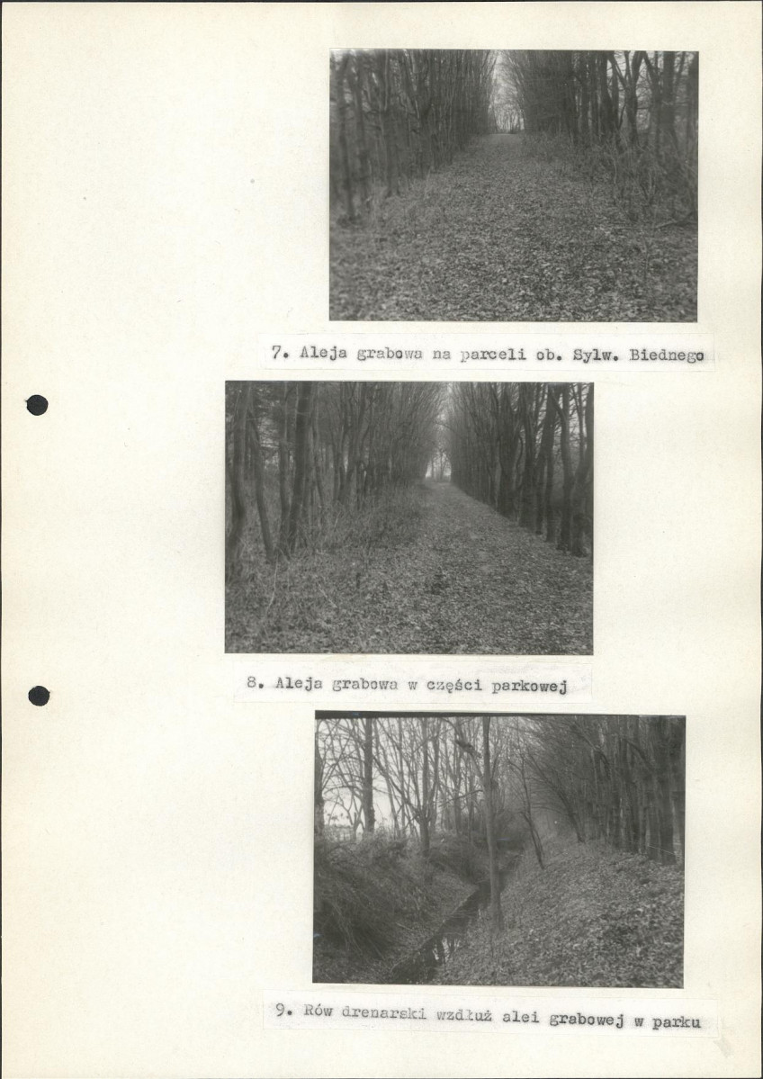Ewidencja parkowa, skan nr 26