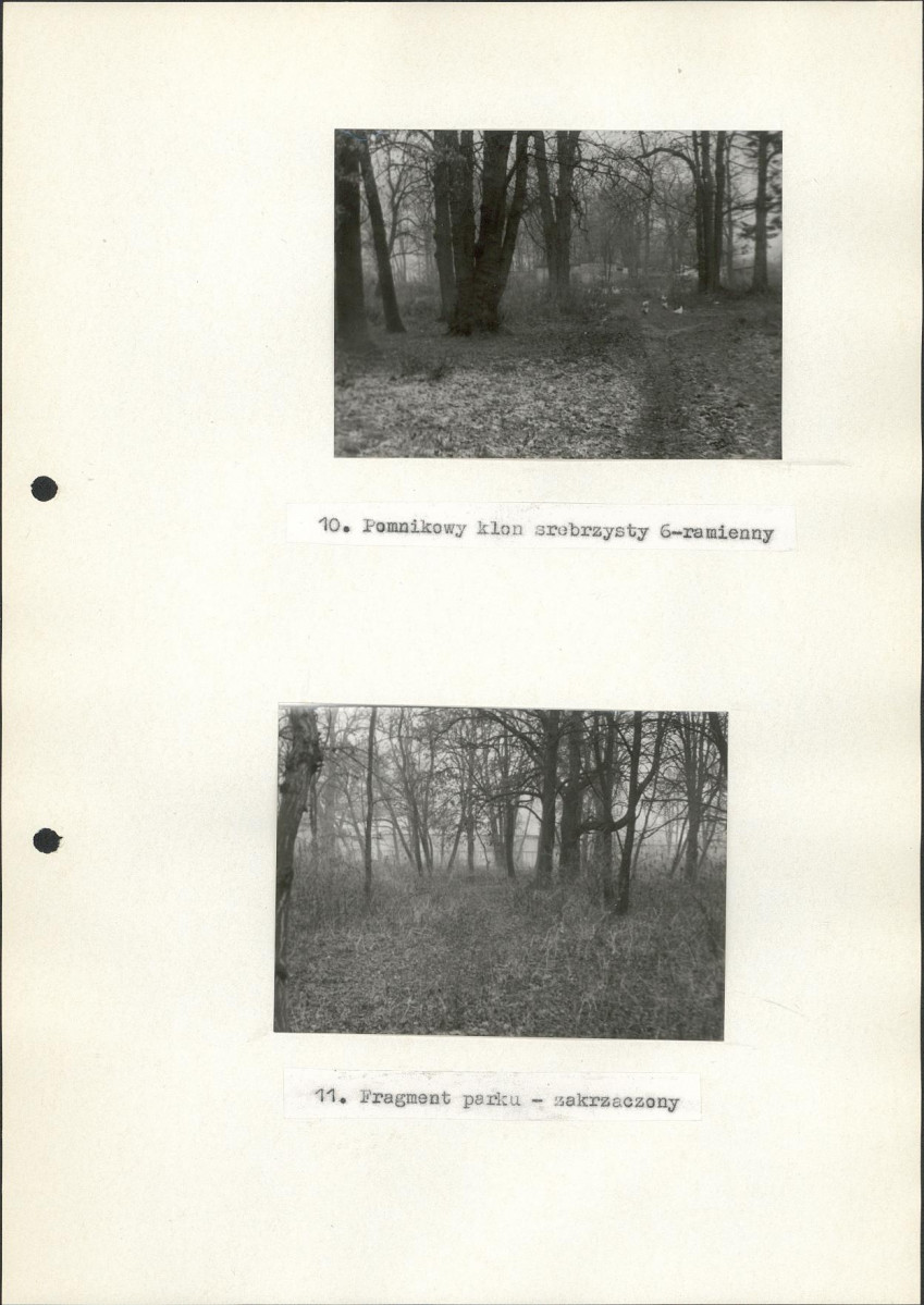 Ewidencja parkowa, skan nr 27