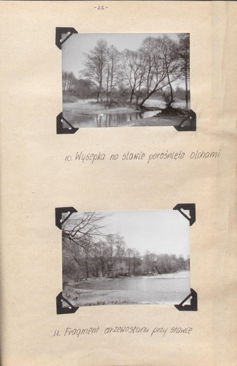 EP - Ewidencja parkowa, skan nr 29