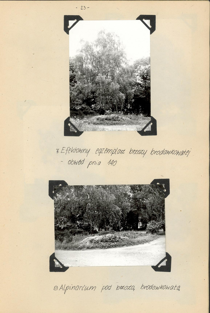 Ewidencja parkowa, skan nr 26