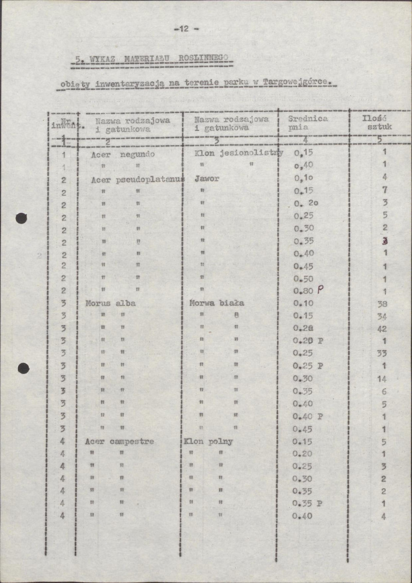 Ewidencja parkowa, skan nr 19
