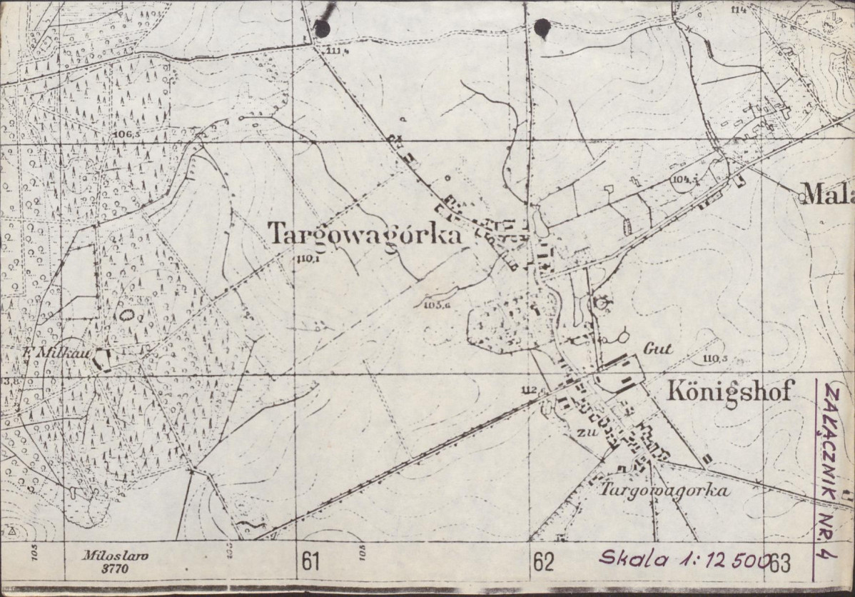 Ewidencja parkowa, skan nr 33