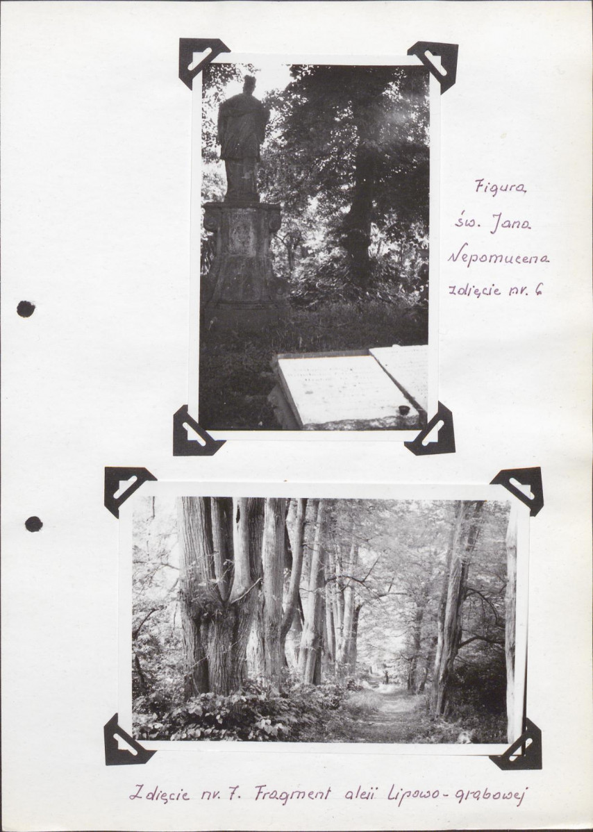Ewidencja parkowa, skan nr 38