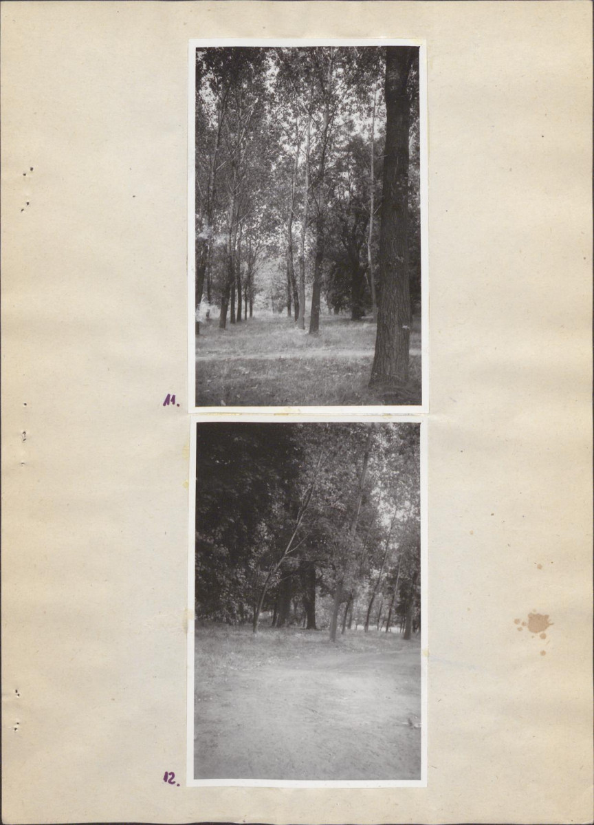 Ewidencja parkowa, skan nr 25