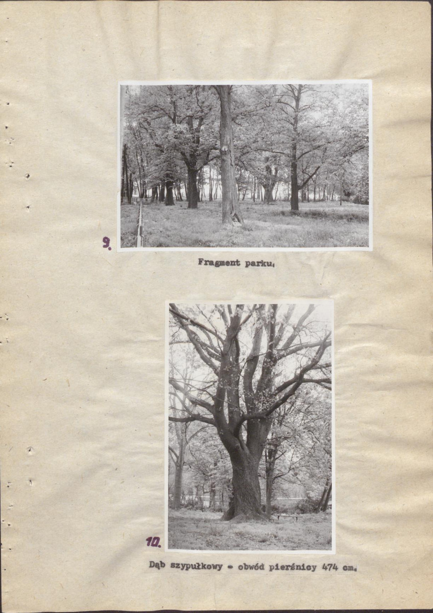 Ewidencja parkowa, skan nr 26