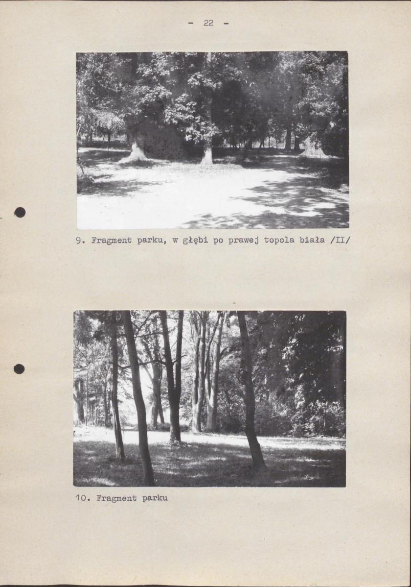Ewidencja parkowa, skan nr 28
