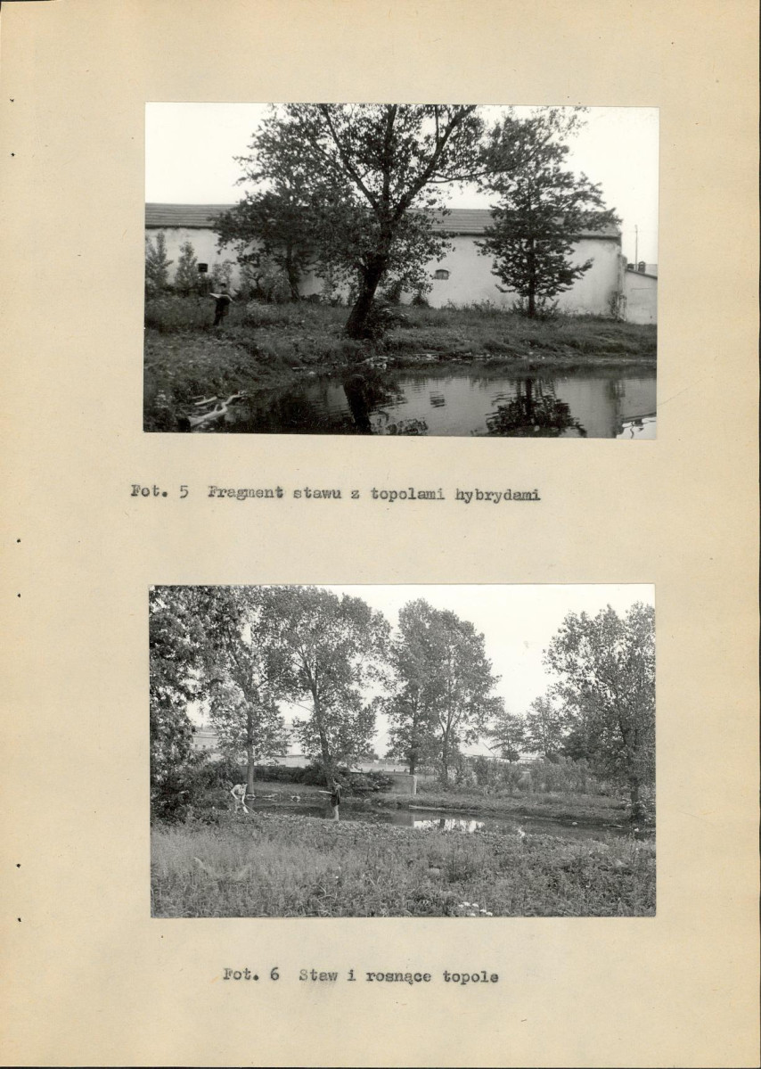 EP - Ewidencja parkowa, skan nr 19