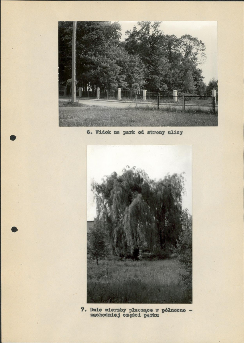 EP - Ewidencja parkowa, skan nr 26