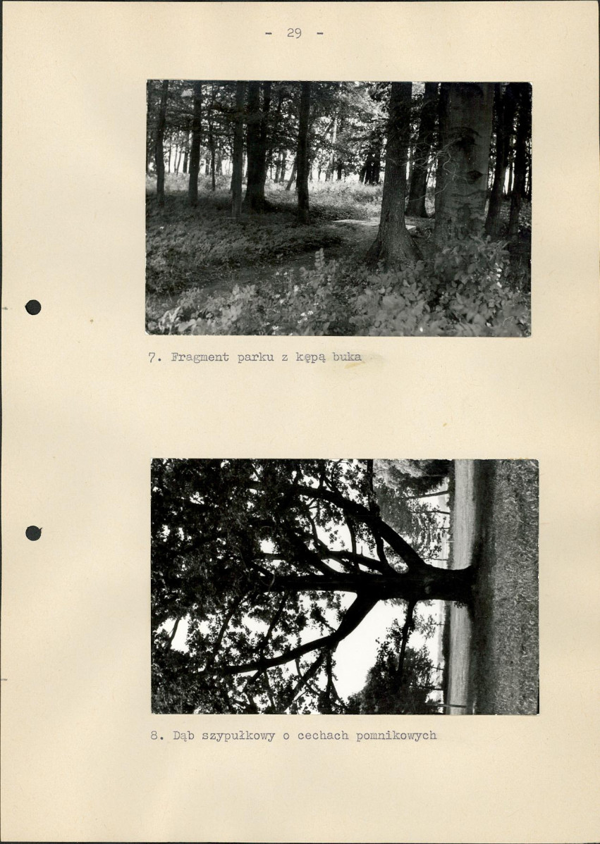 EP - Ewidencja parkowa, skan nr 35