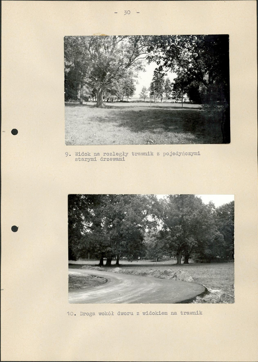 EP - Ewidencja parkowa, skan nr 36