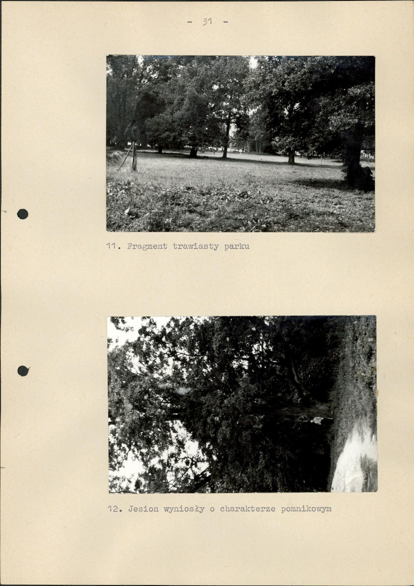 EP - Ewidencja parkowa, skan nr 37