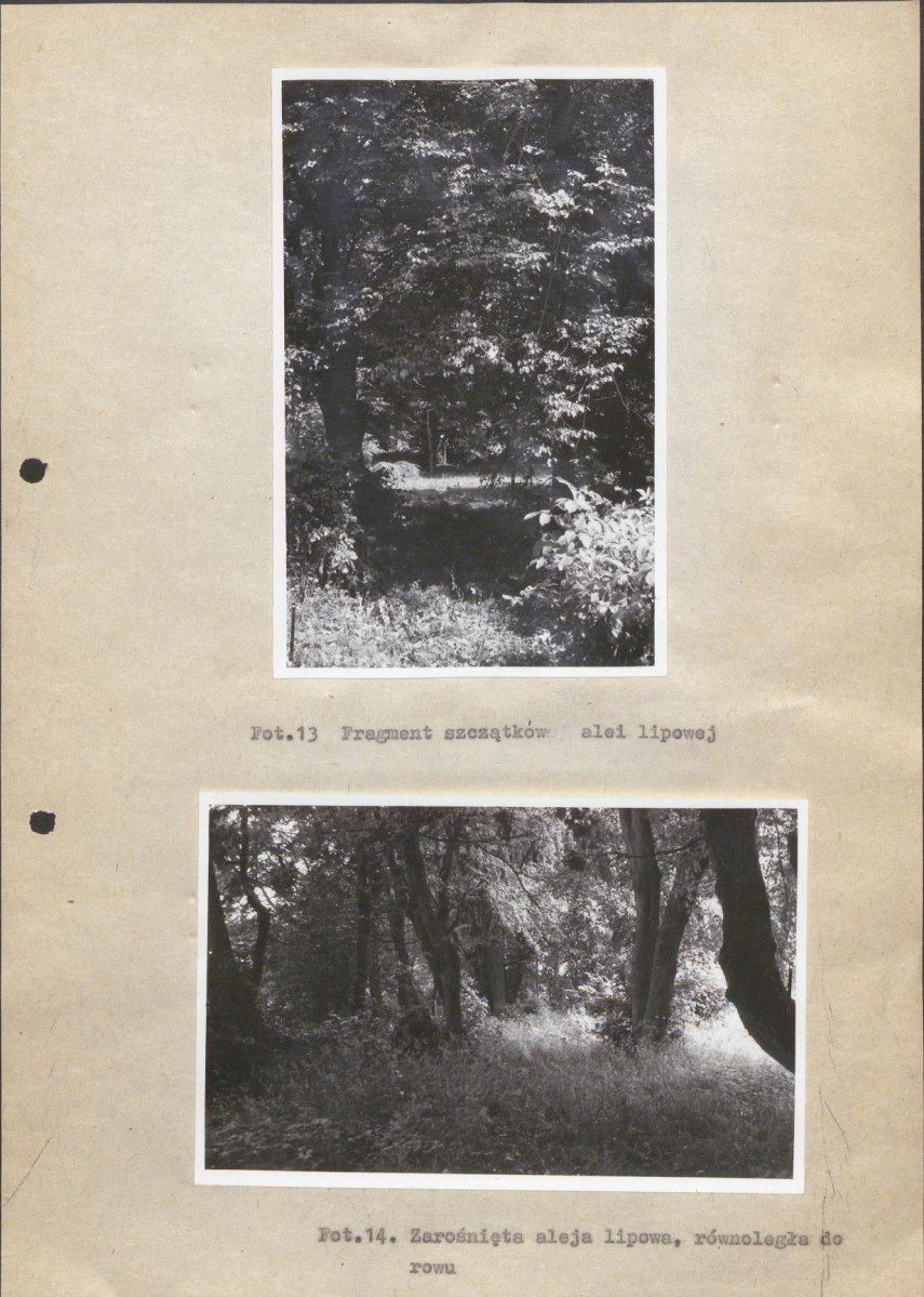 EP - Ewidencja parkowa, skan nr 26