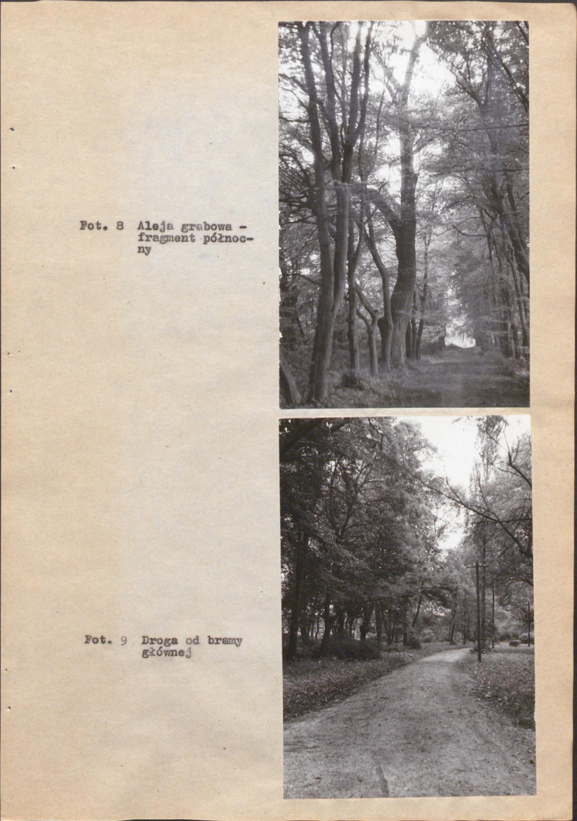 EP - Ewidencja parkowa, skan nr 33