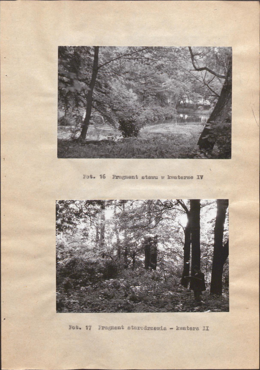 EP - Ewidencja parkowa, skan nr 37