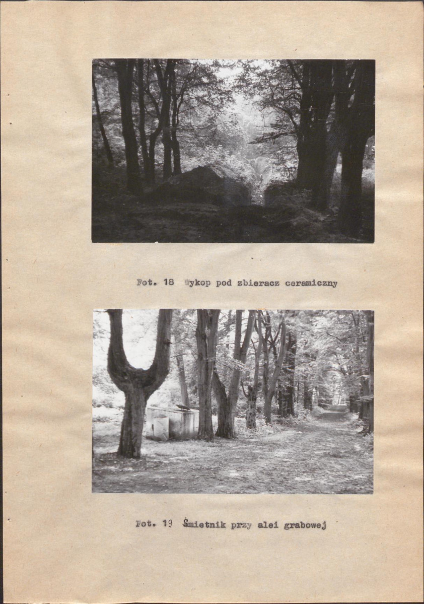 EP - Ewidencja parkowa, skan nr 38