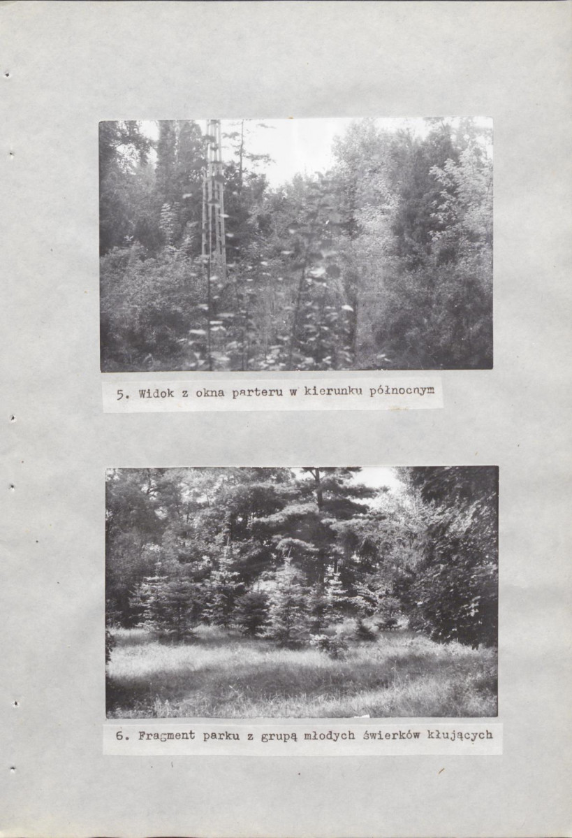 Ewidencja parkowa, skan nr 21