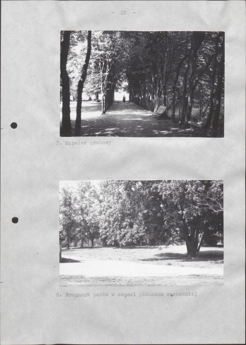 Ewidencja parkowa, skan nr 28