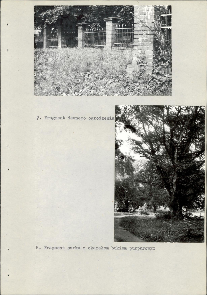 Ewidencja parkowa, skan nr 30