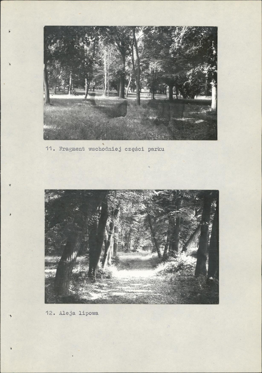 Ewidencja parkowa, skan nr 32
