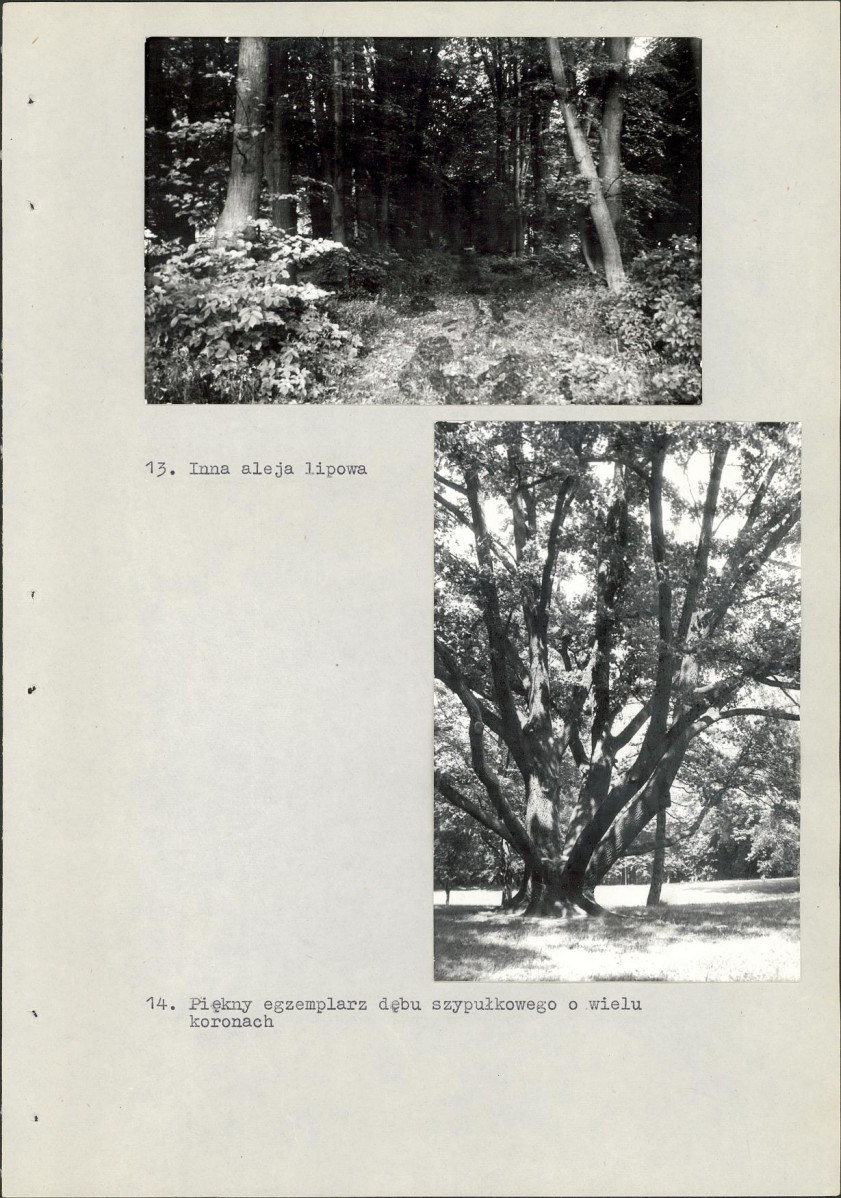 Ewidencja parkowa, skan nr 33