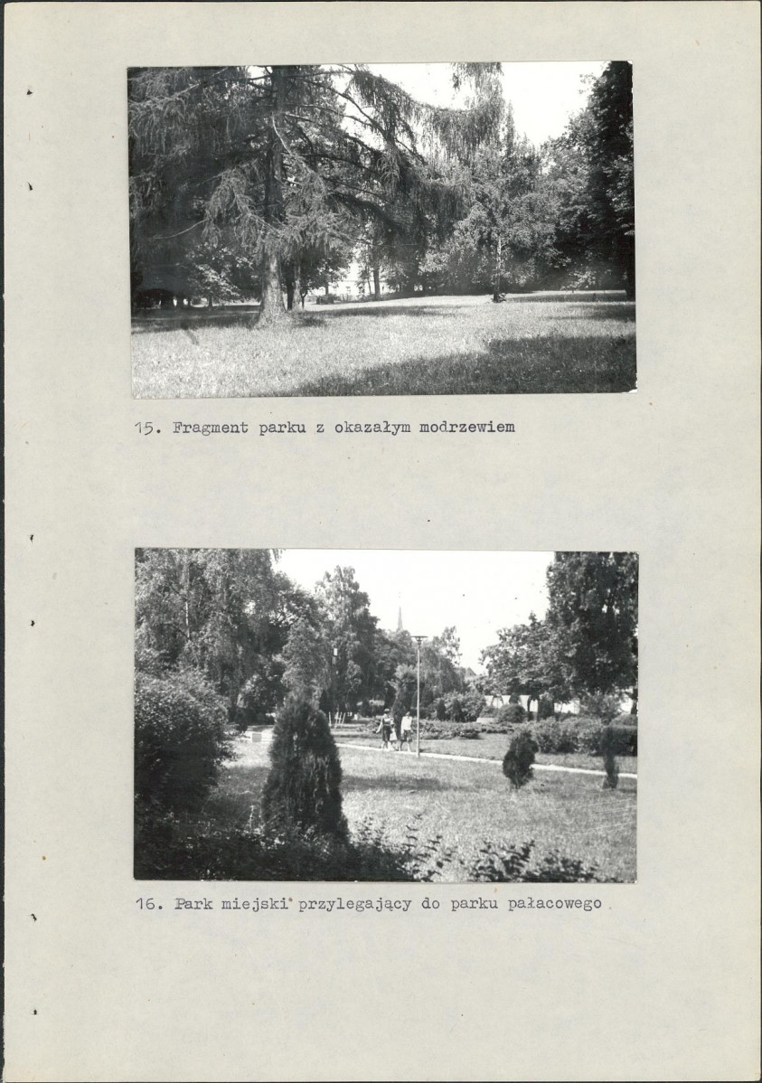 Ewidencja parkowa, skan nr 34