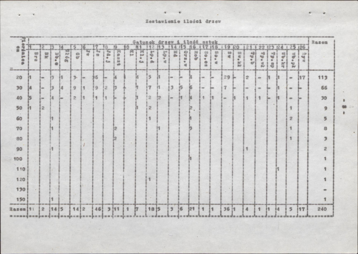 Ewidencja parkowa, skan nr 13