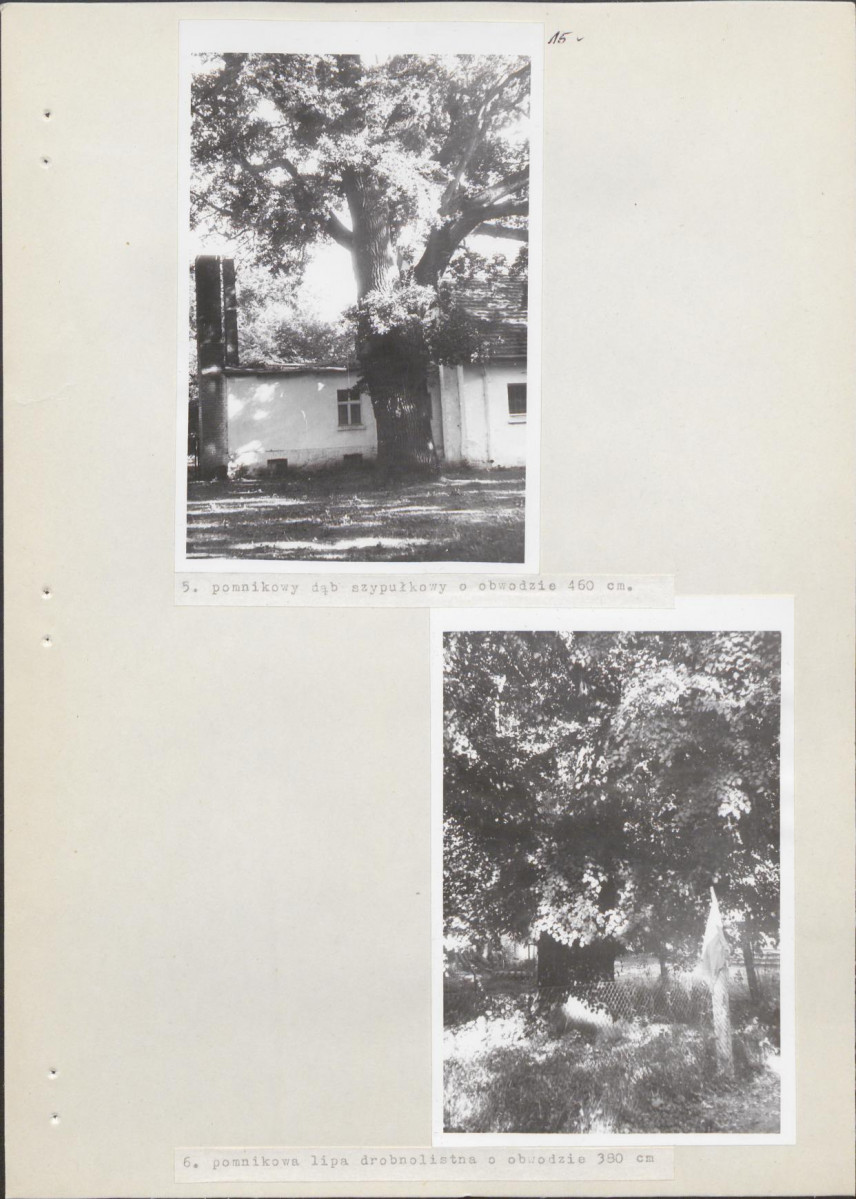 Ewidencja parkowa, skan nr 21