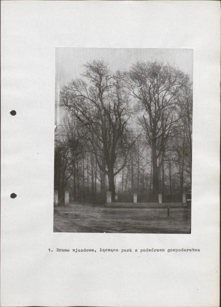 Ewidencja parkowa, skan nr 22
