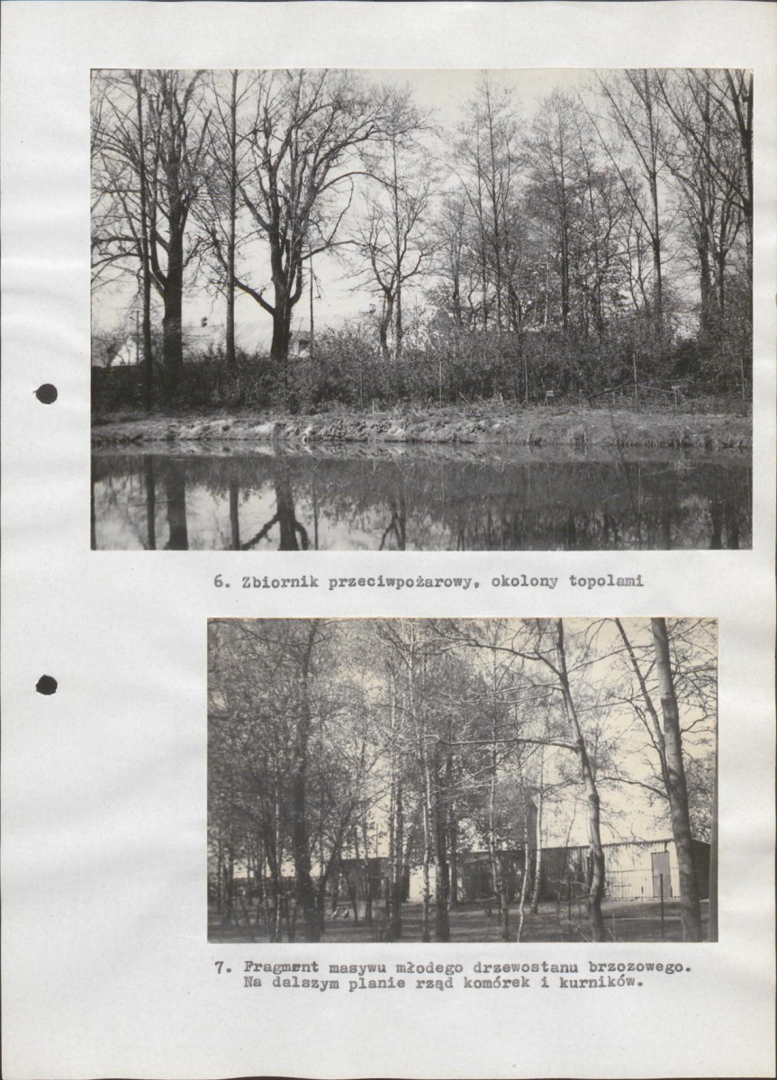 Ewidencja parkowa, skan nr 25