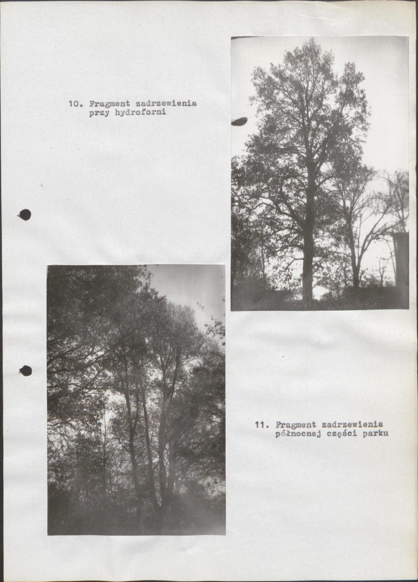 Ewidencja parkowa, skan nr 27