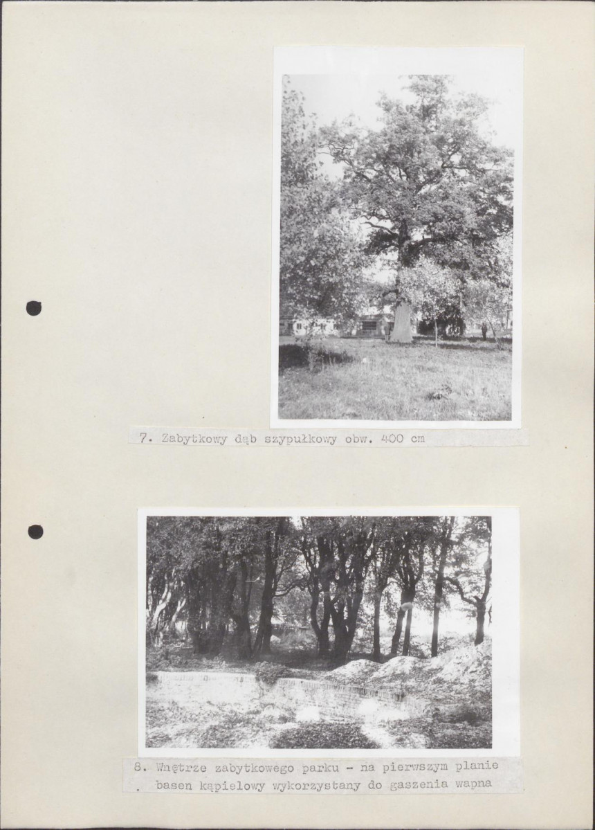 Ewidencja parkowa, skan nr 27