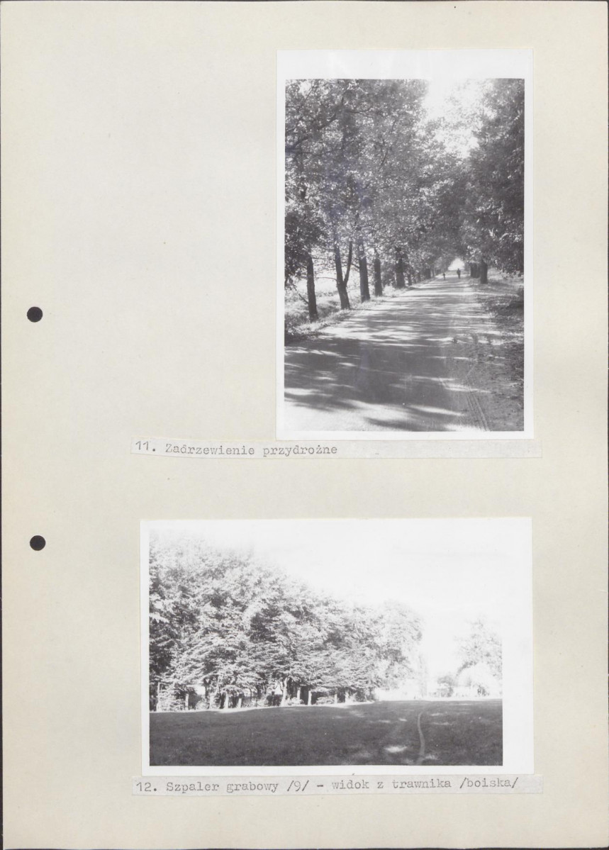 Ewidencja parkowa, skan nr 29