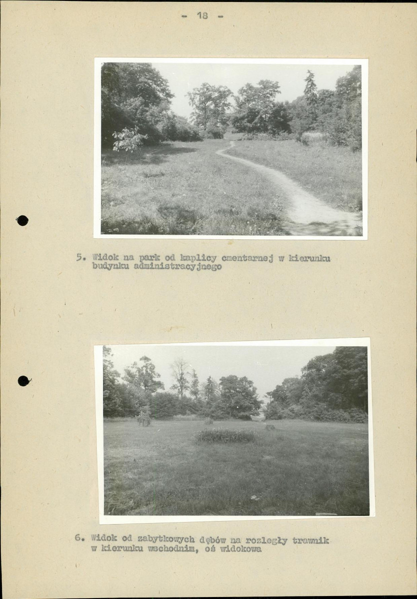 Ewidencja parkowa, skan nr 24