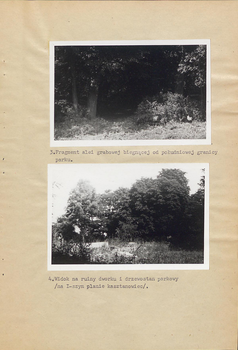 Ewidencja parkowa, skan nr 19