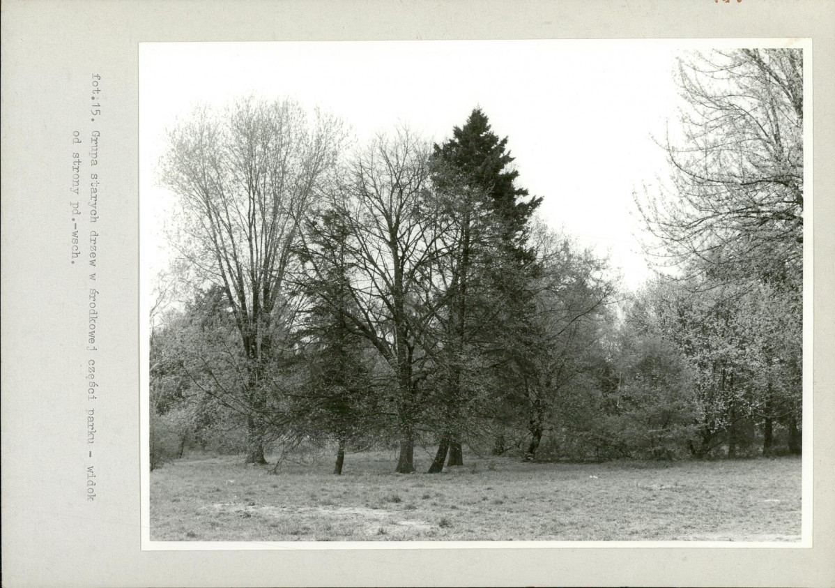 Ewidencja parkowa, skan nr 39