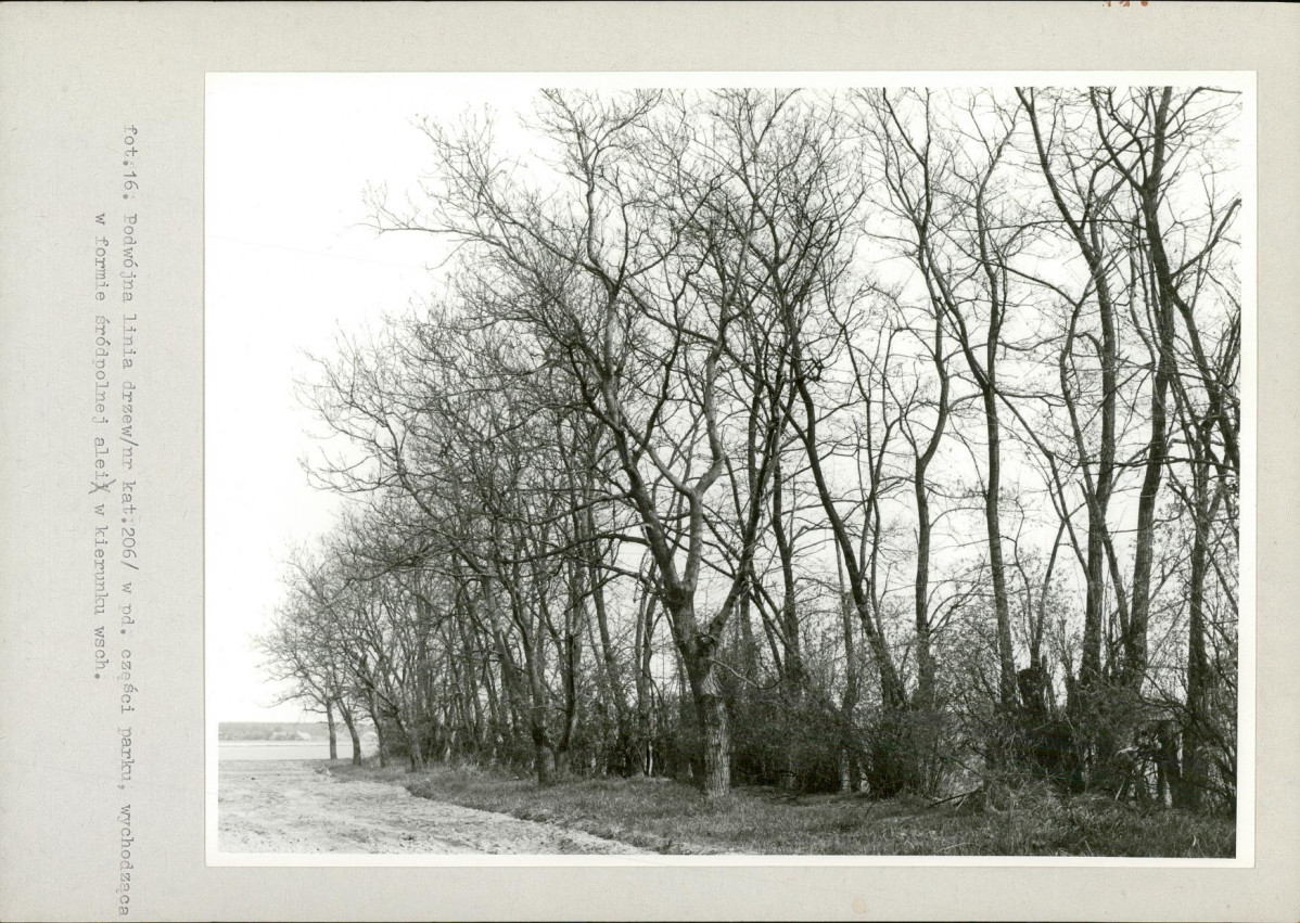 Ewidencja parkowa, skan nr 40