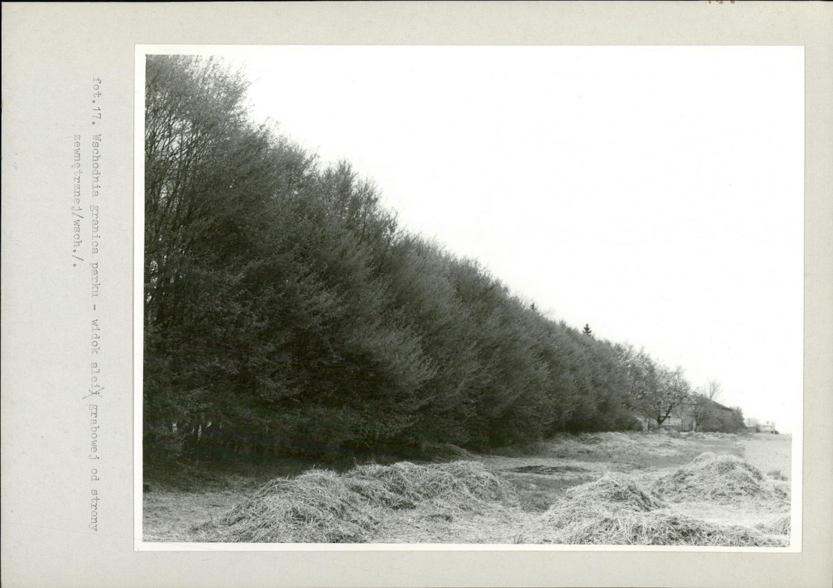 Ewidencja parkowa, skan nr 41