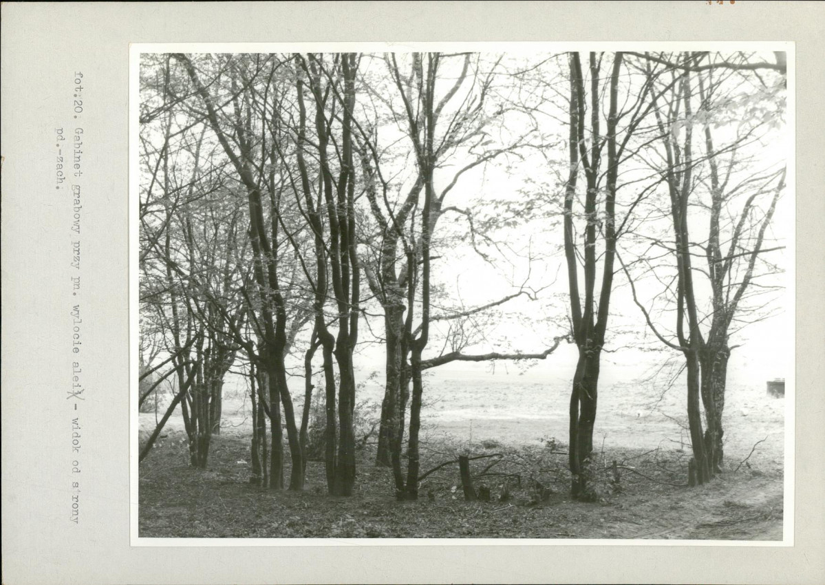 Ewidencja parkowa, skan nr 44