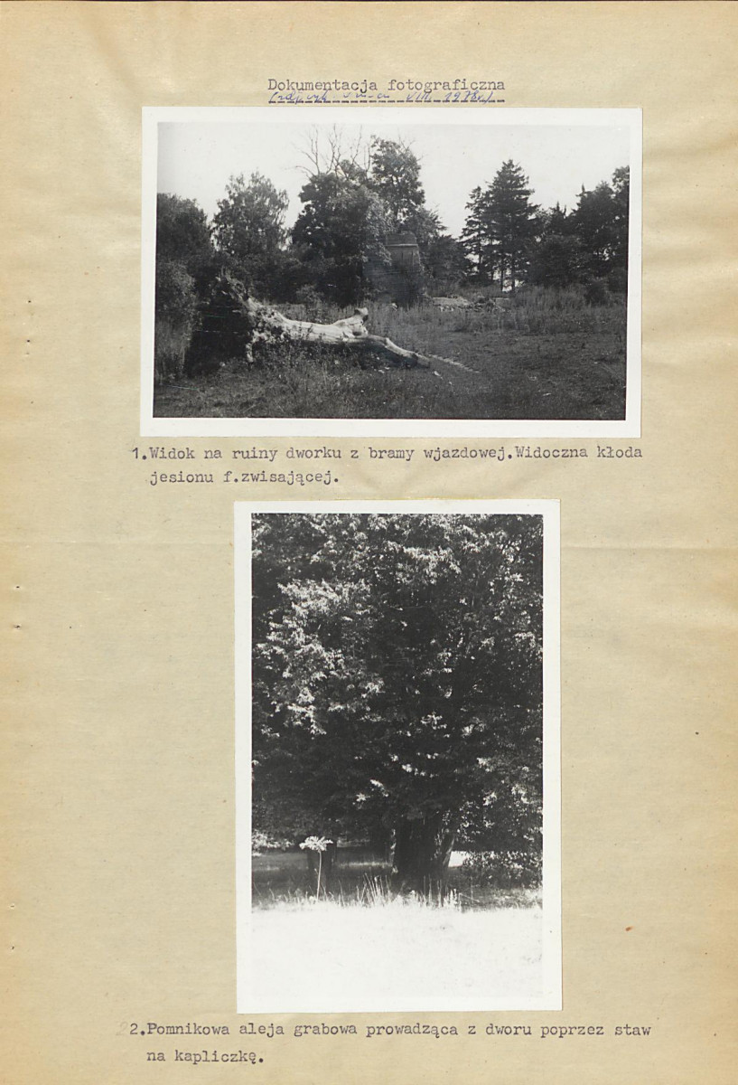 Ewidencja parkowa, skan nr 21