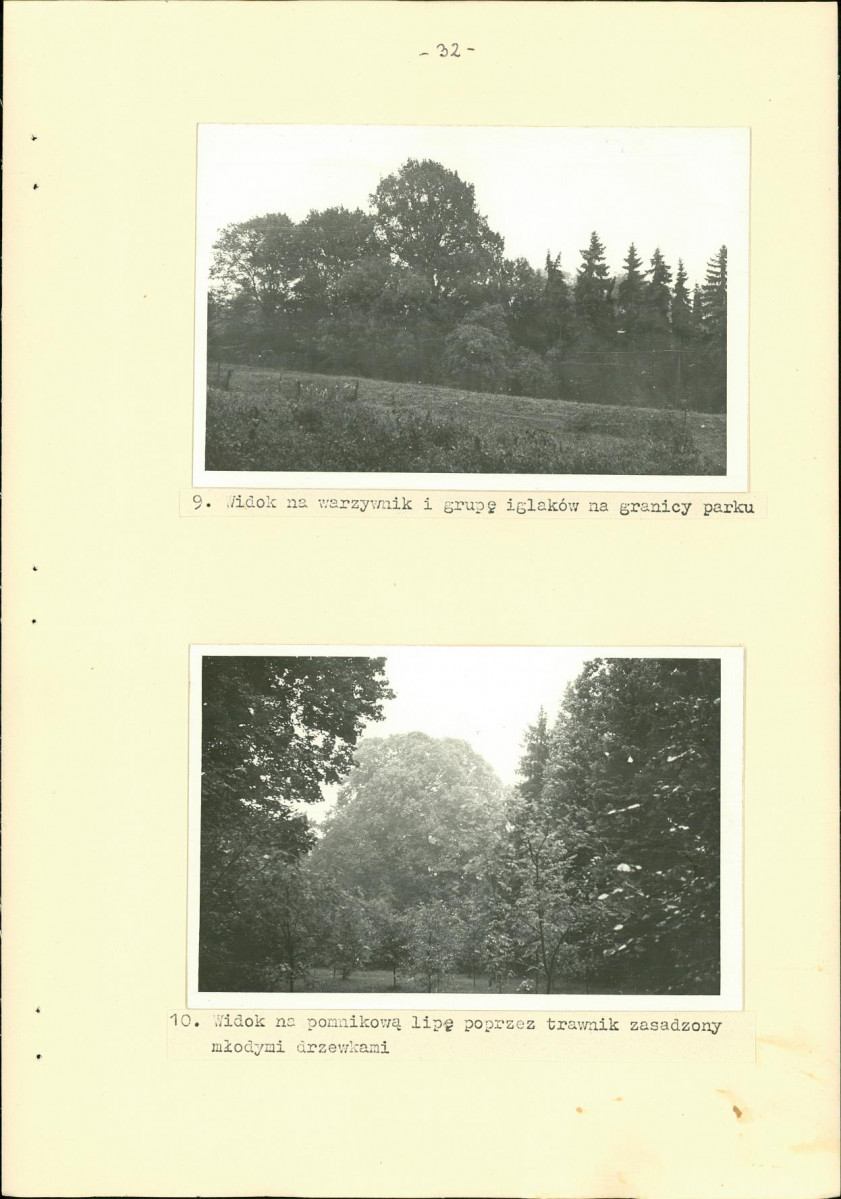 Ewidencja parkowa, skan nr 40
