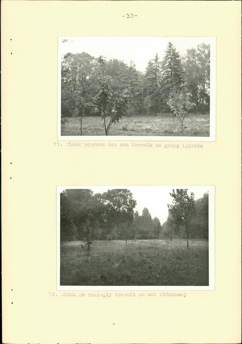 Ewidencja parkowa, skan nr 41