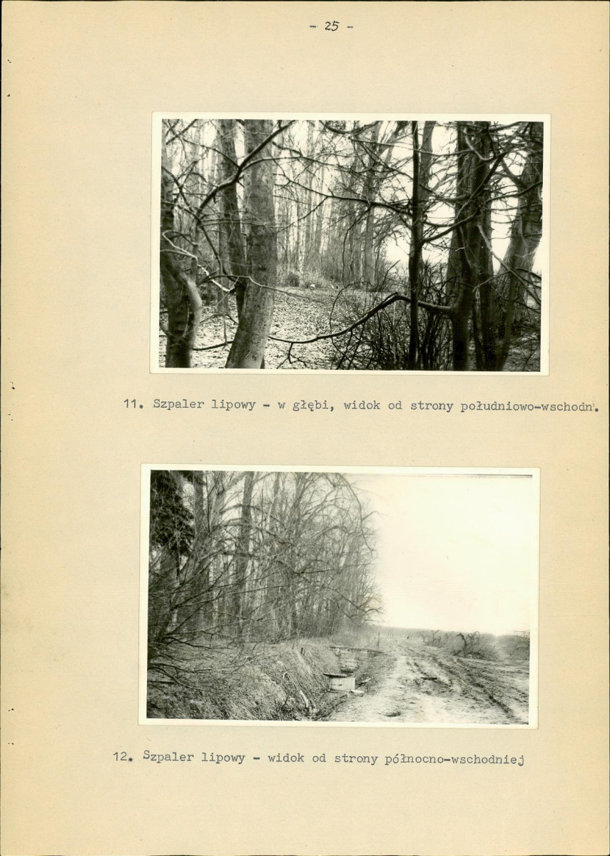 EP - Ewidencja parkowa, skan nr 33