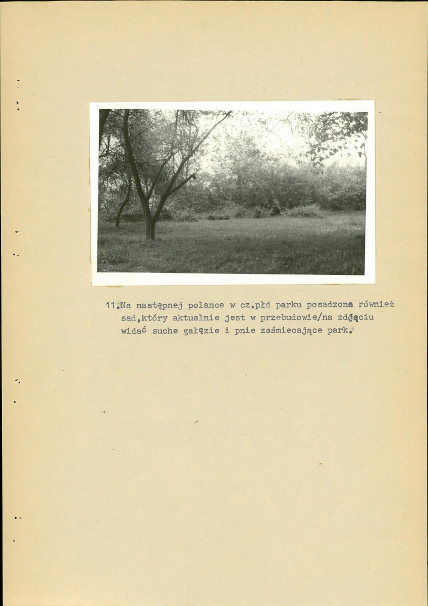 Ewidencja parkowa, skan nr 24