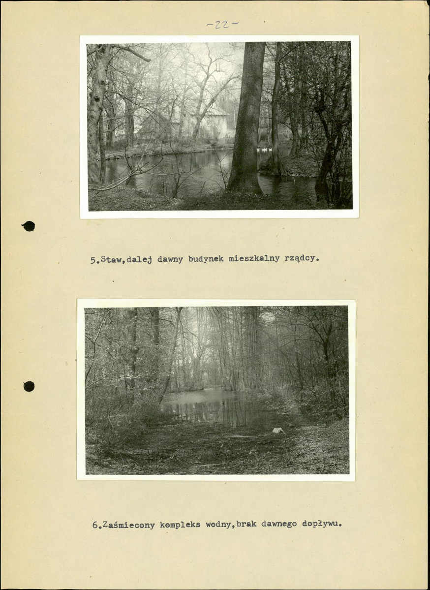 Ewidencja parkowa, skan nr 31