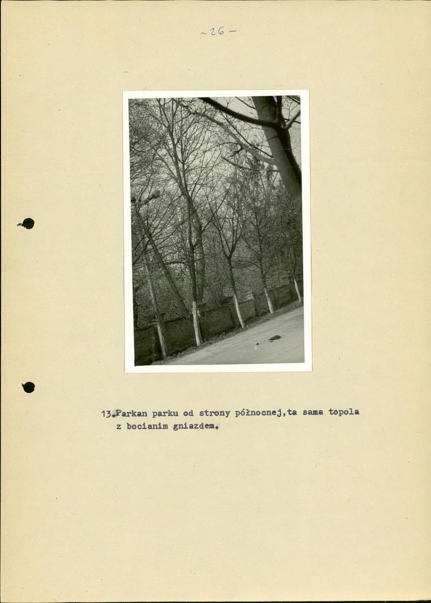 Ewidencja parkowa, skan nr 35