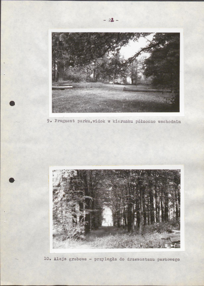 Ewidencja parkowa, skan nr 29