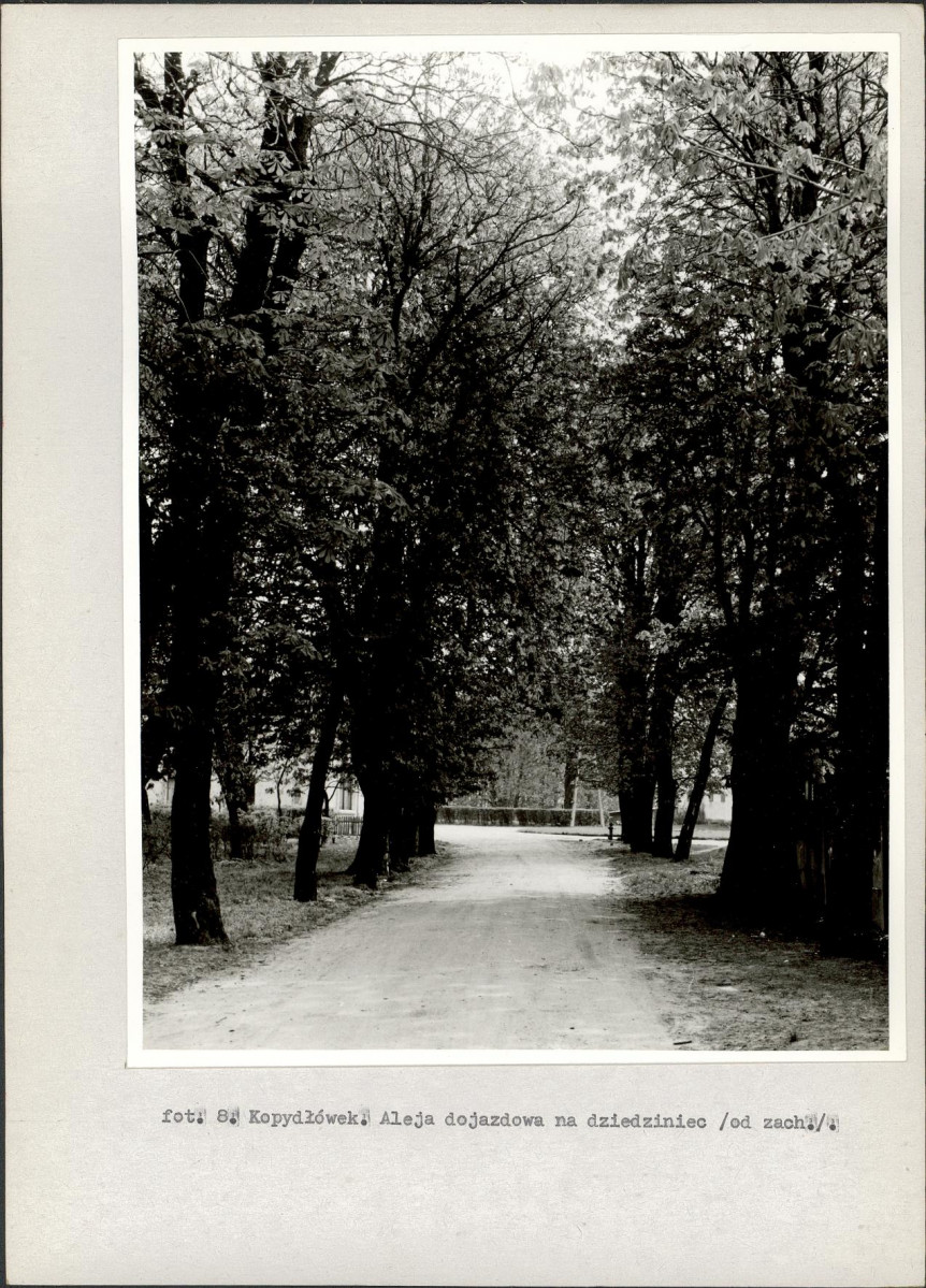 Ewidencja parkowa, skan nr 32