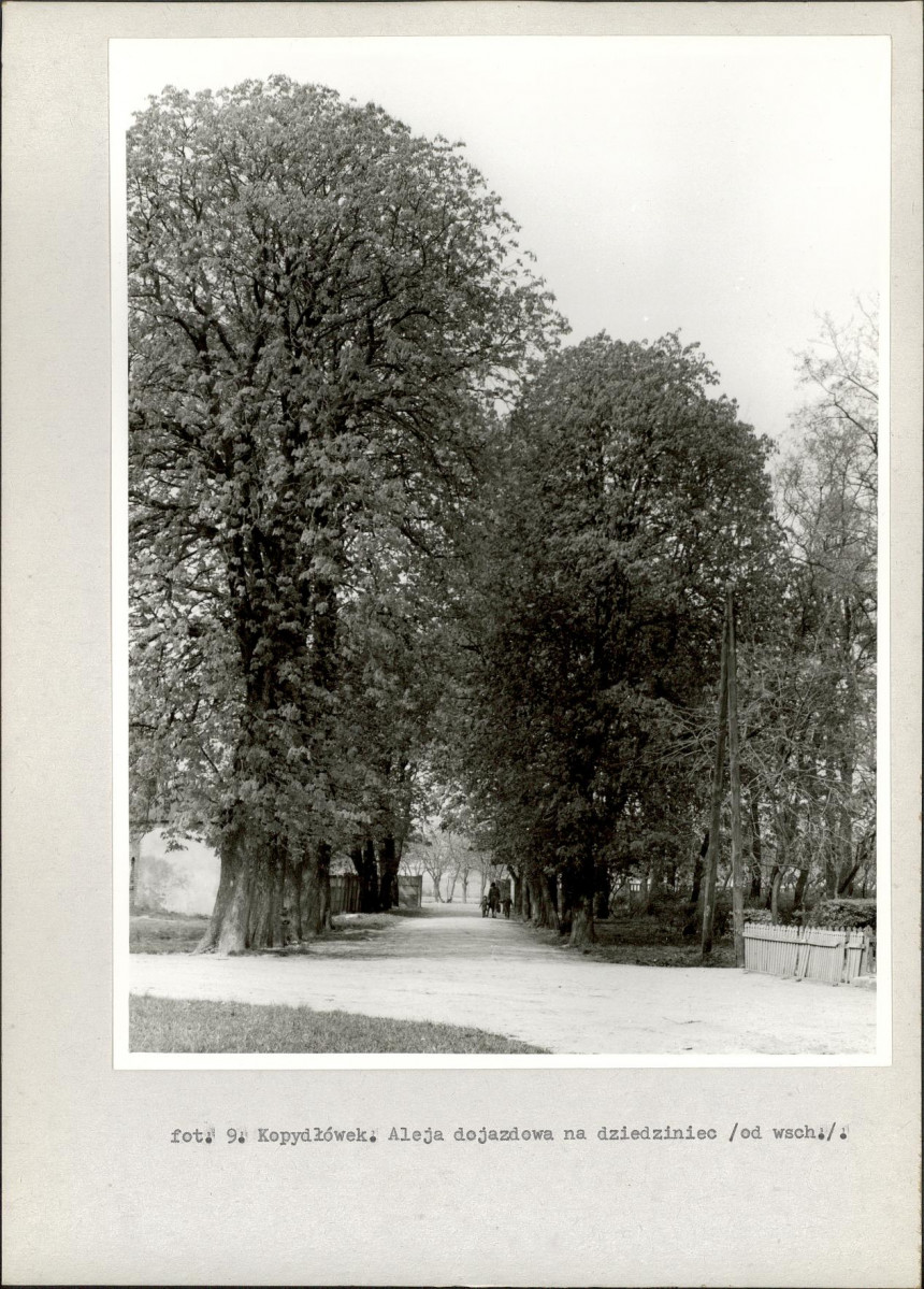 Ewidencja parkowa, skan nr 33